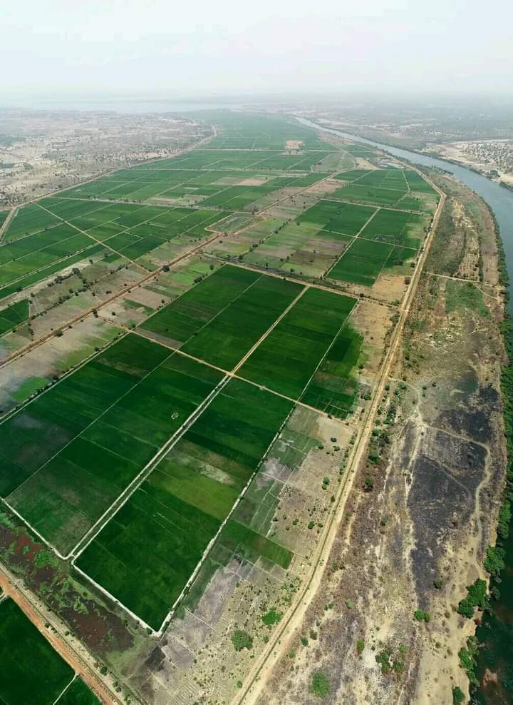 Barrage de Markala (Markala Dam)