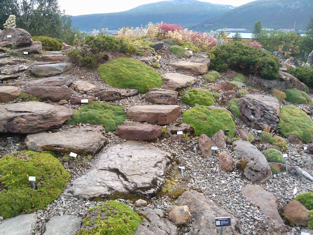 Arktisk-Alpin Botanisk Hage (Arctic-Alpine Botanic Garden)