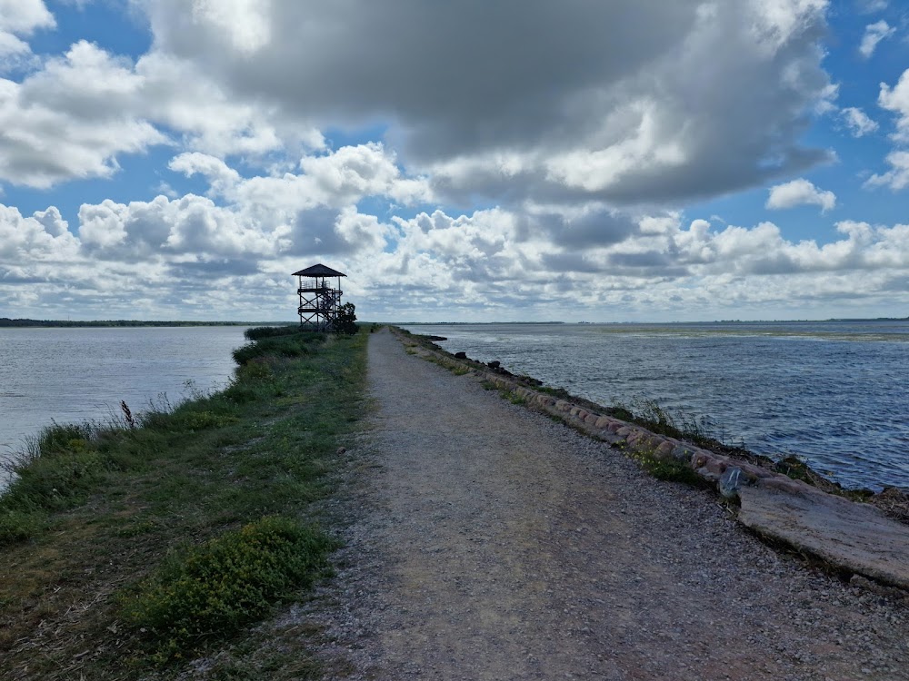 Liepājas ezera skatu tornis (Liepāja Lake Watchtower)