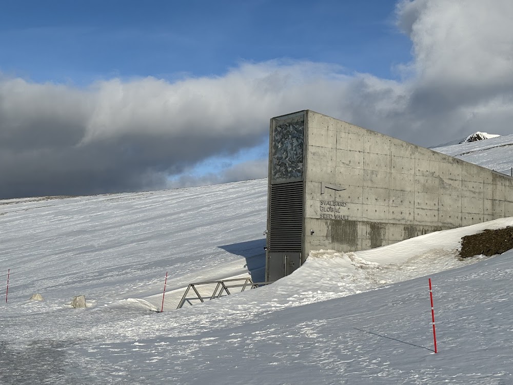 Svalbard globale frøhvelv (Svalbard Global Seed Vault)