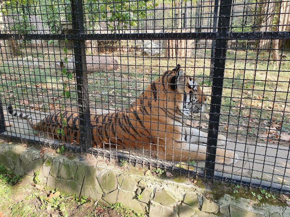 Grădina Zoologică București (Grădina Zoologică București)