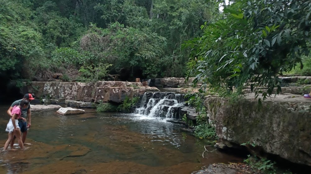 La Colmena (La Colmena)