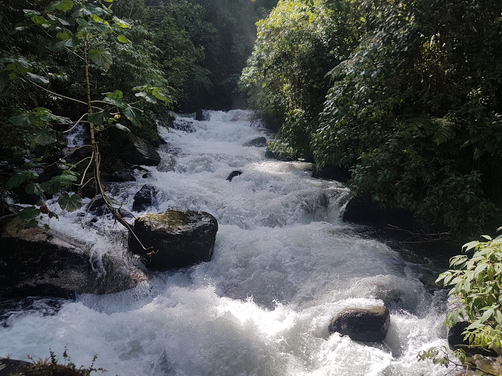 Sendero Los Quetzales (Sendero Los Quetzales)