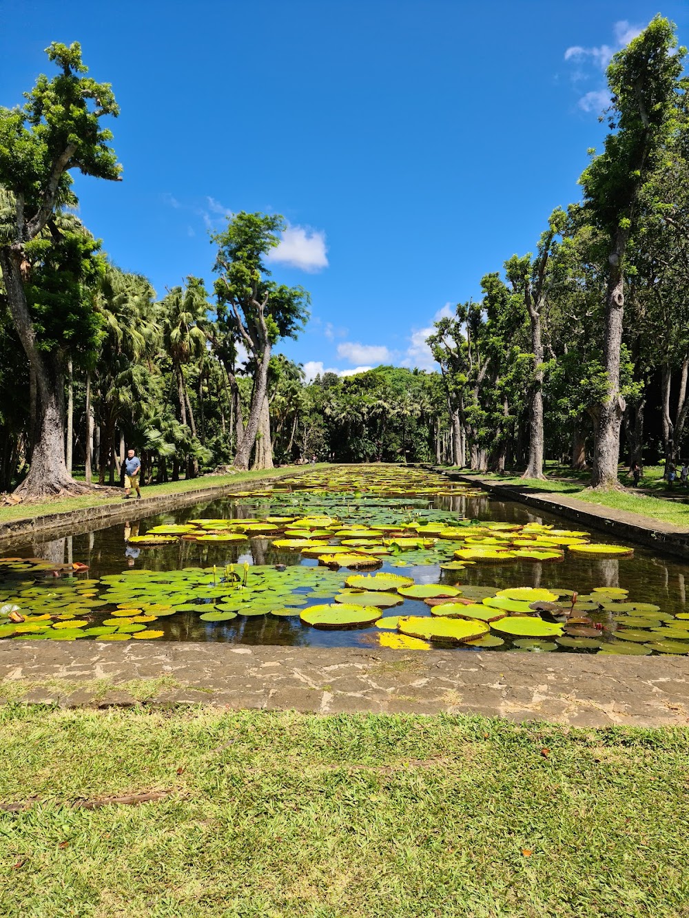 Jardin Botanique SSR (SSR Botanic Garden)