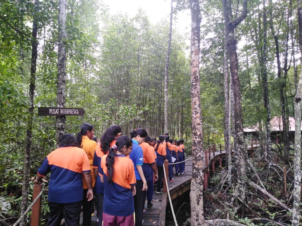 Hutan Paya Bakau Matang (Matang Mangrove Forest Reserve)