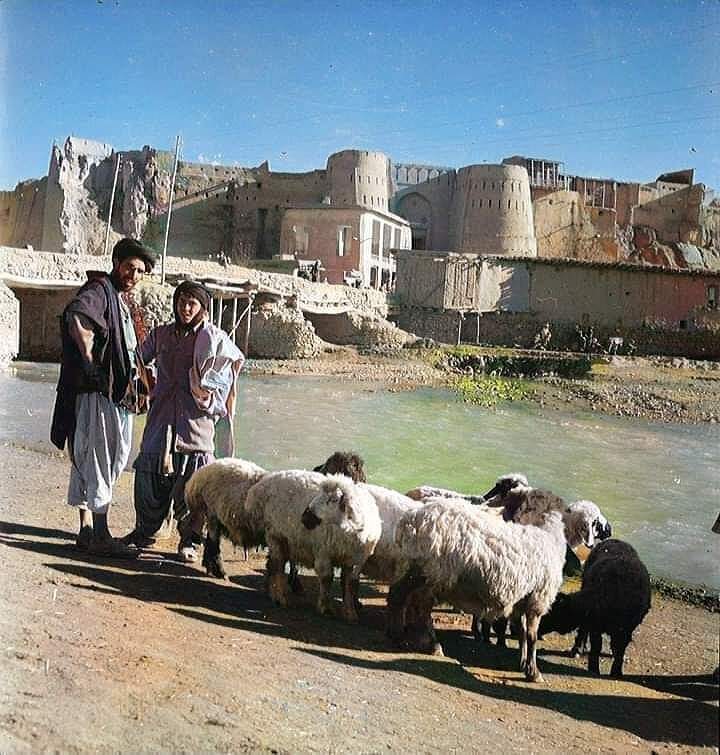 قلعه غزنی (Citadel of Ghazni)