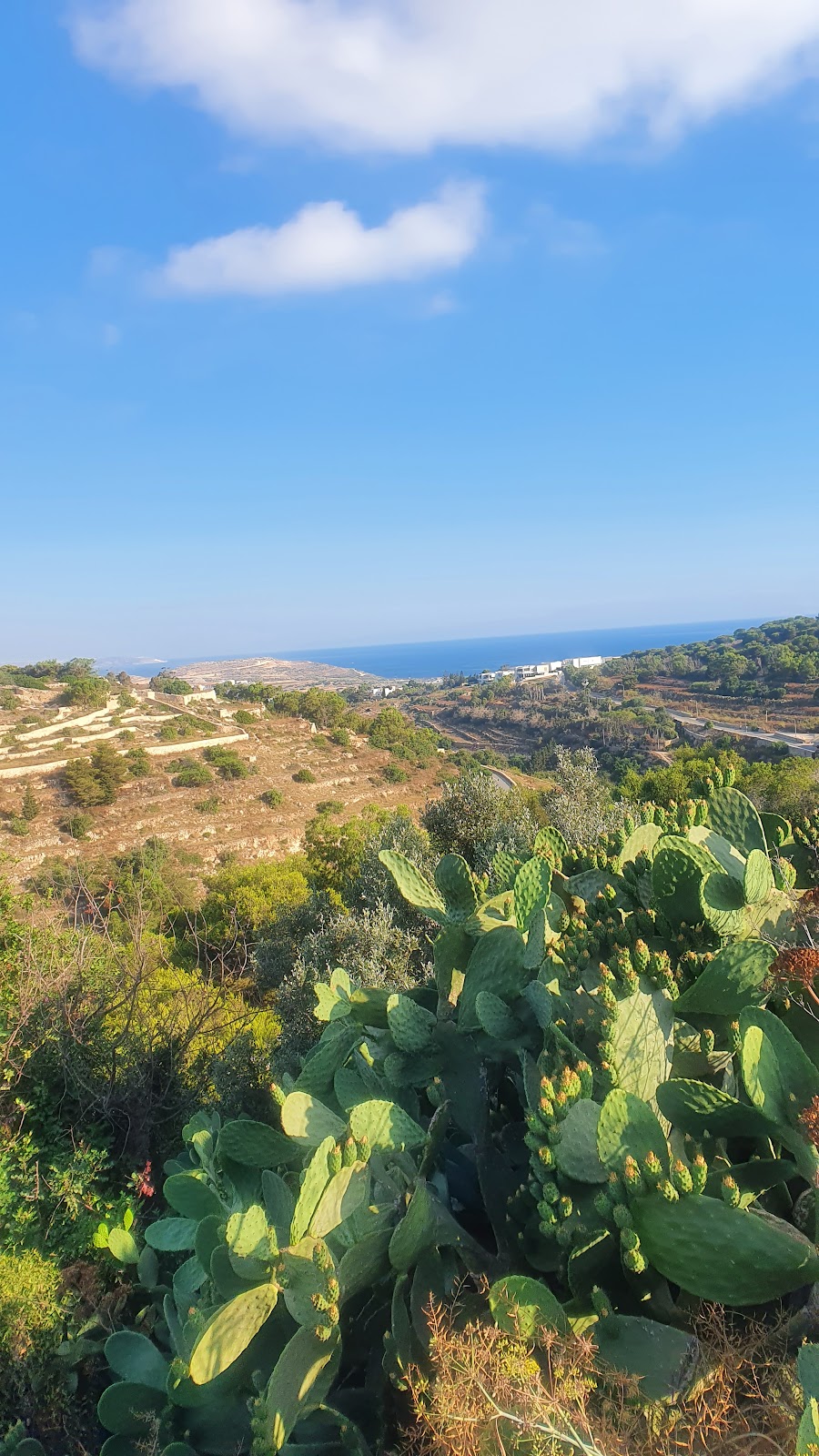 Wied il-Faħam