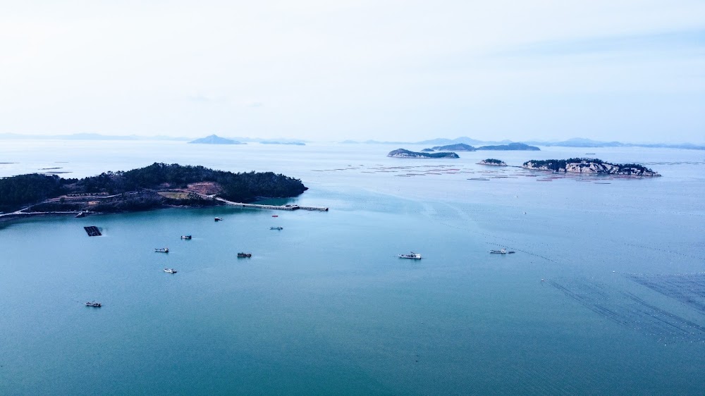 진도 신비의 바닷길 축제 (Jindo Sea Parting Festival)