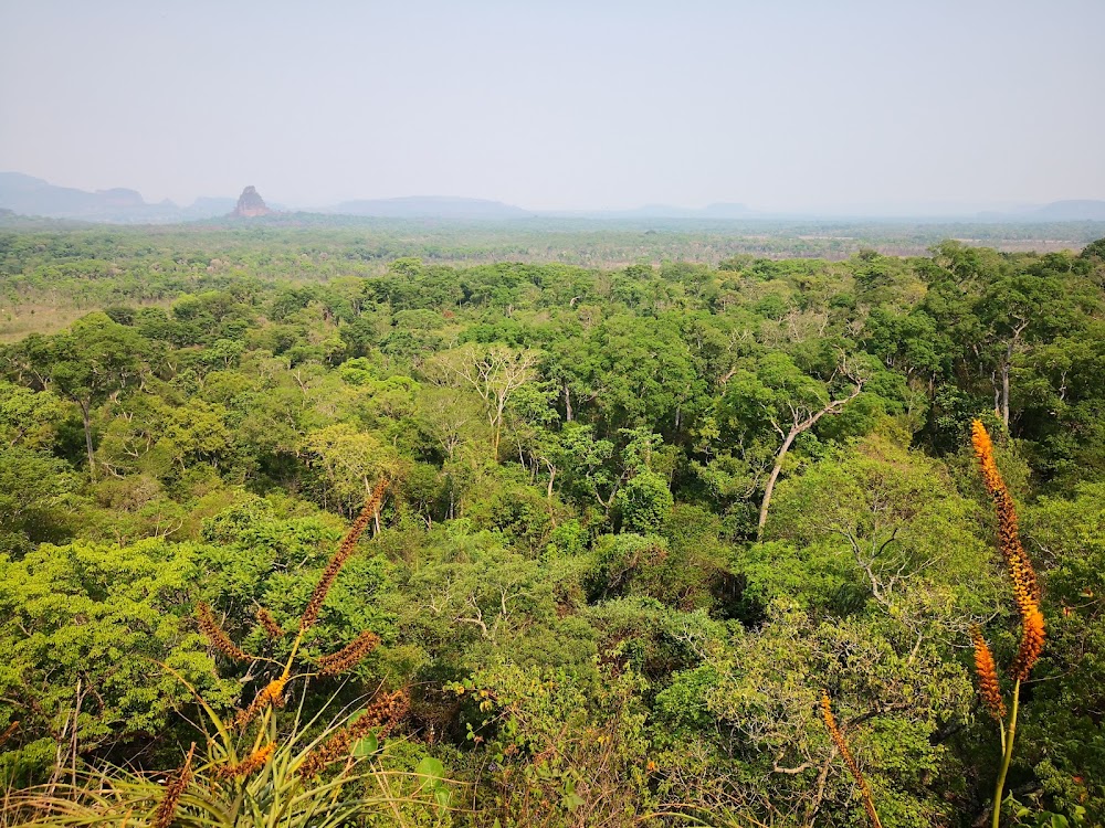 Parque Nacional Cerro Muralla (Parque Nacional Cerro Muralla)