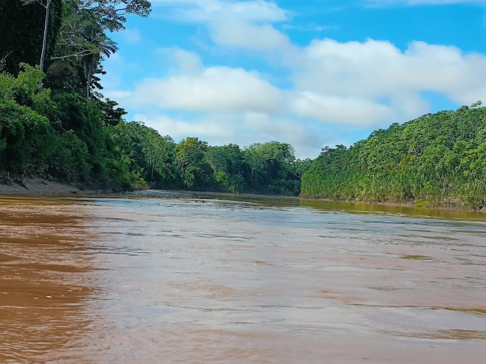 Parque Nacional Bahuaja-Sonene (Bahuaja-Sonene National Park)