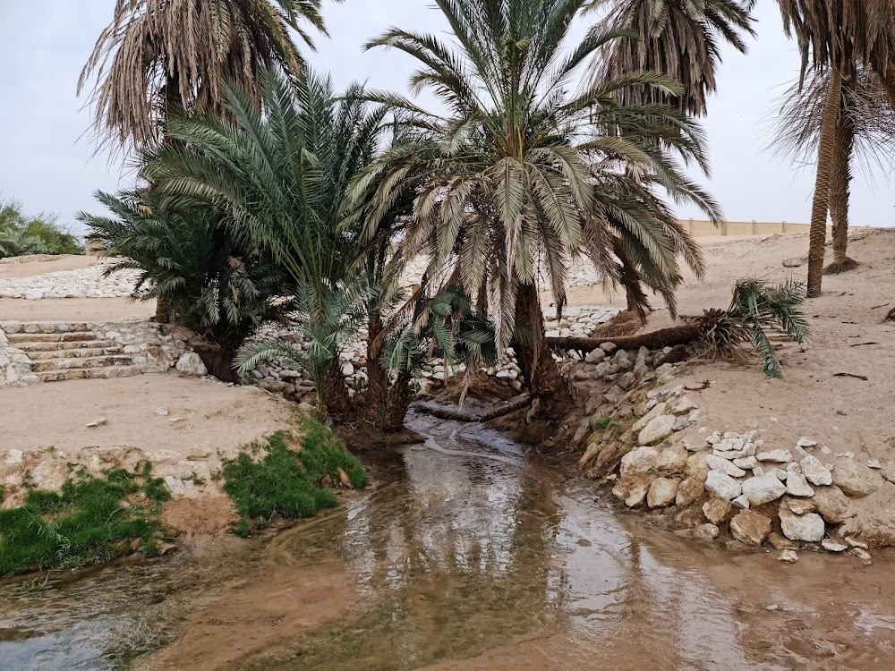 عين موسى (Moses' Spring)