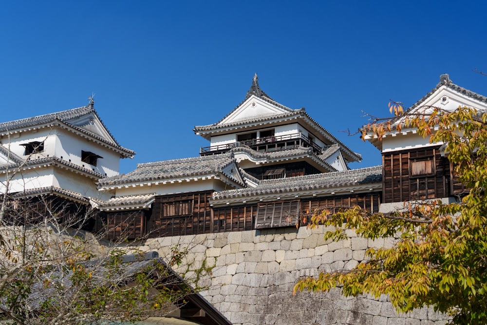 松山城 (Matsuyama Castle)