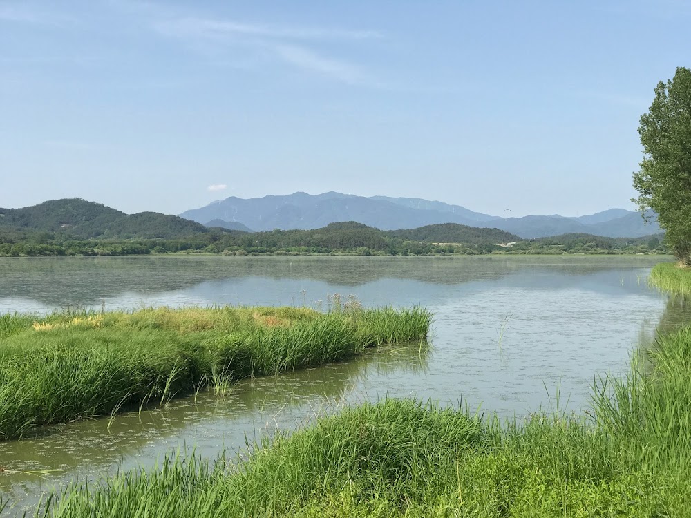 우포늪 (Upo Wetland)