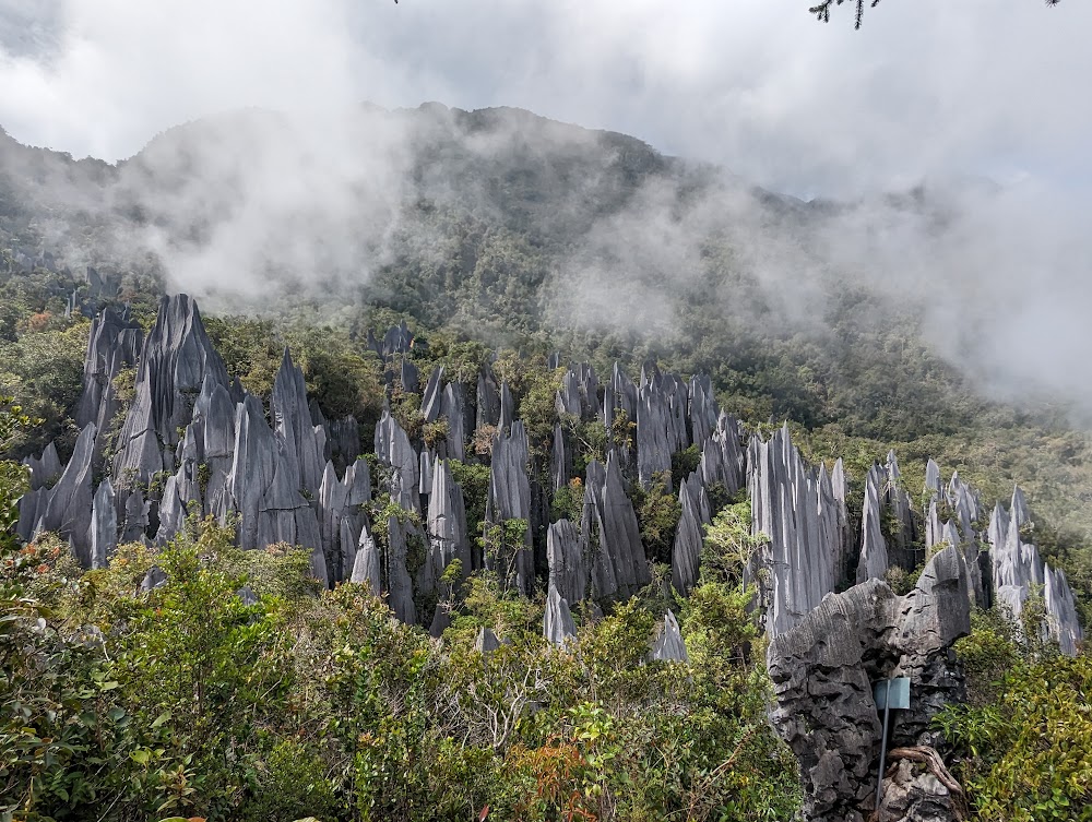 Gua Mulu (Mulu Caves)