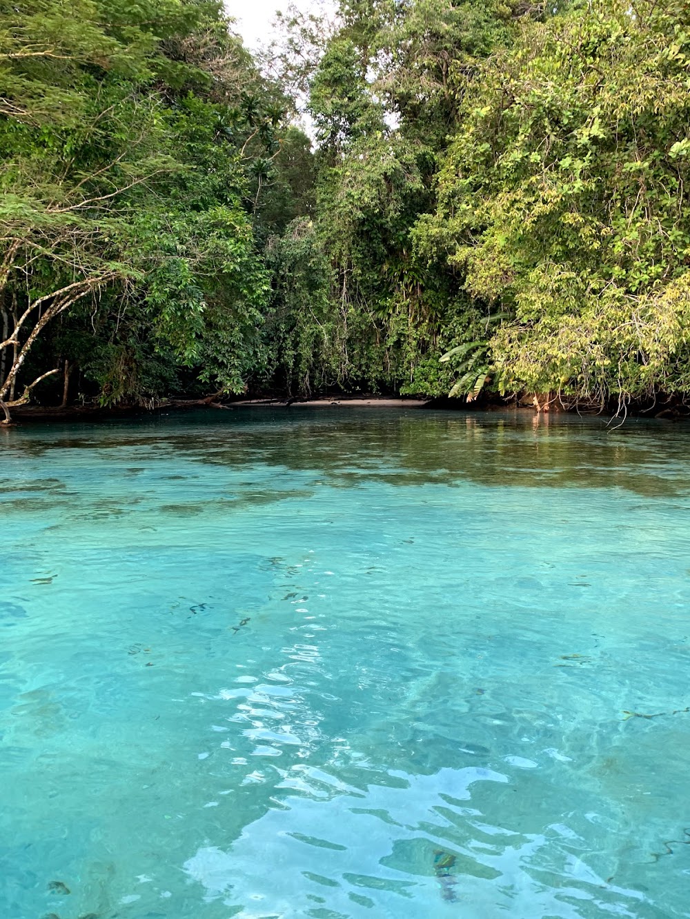 Isla Escudo de Veraguas (Escudo de Veraguas Island)