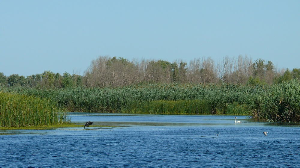 Астраханский заповедник (Astrakhan Nature Reserve)