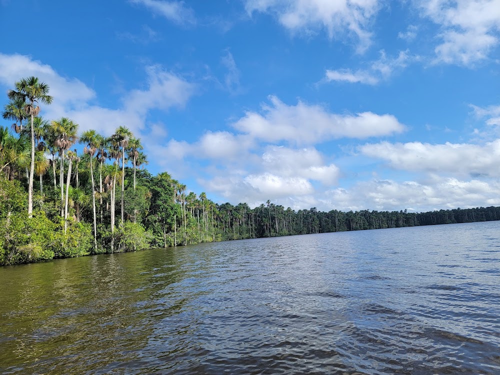 Reserva Nacional Tambopata (Tambopata National Reserve)