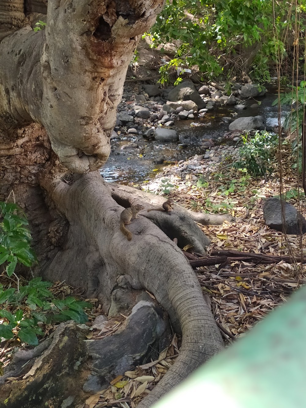 Parque Ecológico La Campana (Ecological Park of Natura)