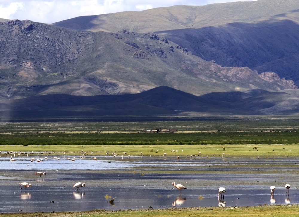 Laguna de Pozuelos (Laguna de Pozuelos)