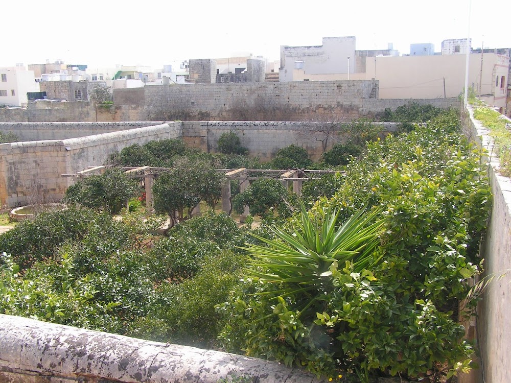 Il-Ġnien tal-Kmand (Il-Ġnien tal-Kmand)