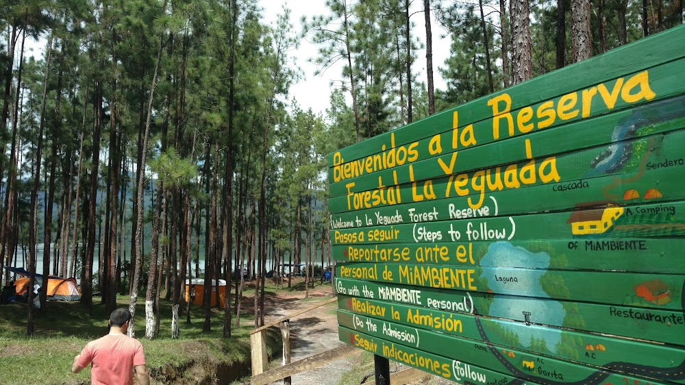 Reserva Forestal La Yeguada (La Yeguada Forest Reserve)