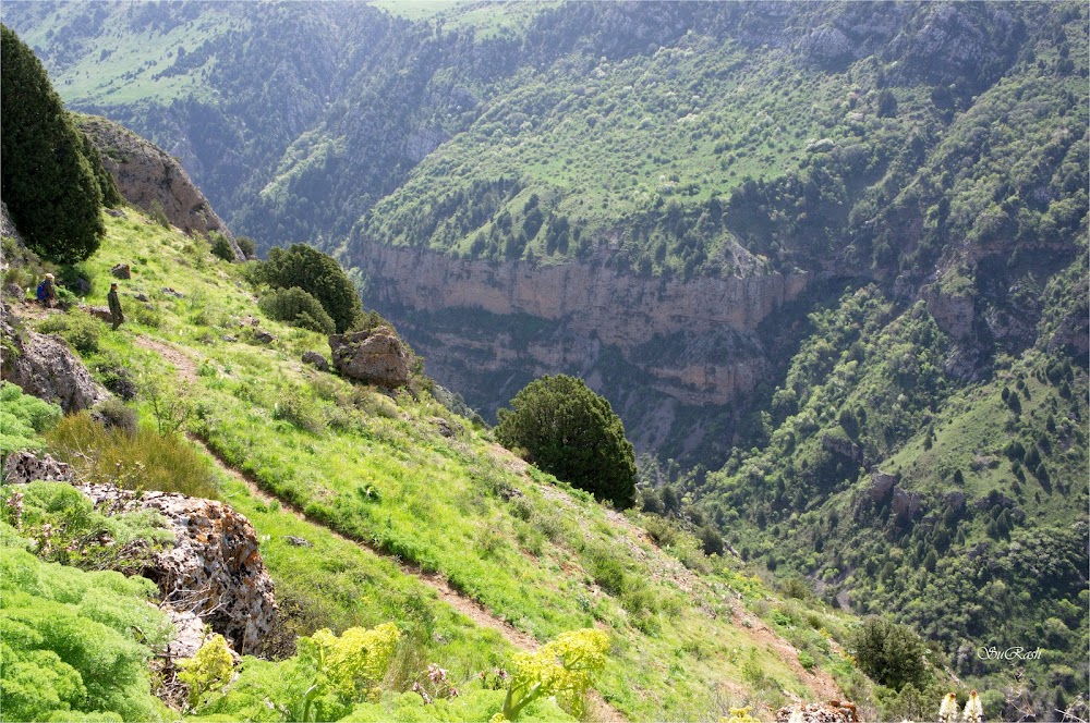 Аксуу капчыгайы (Aksu Canyon)