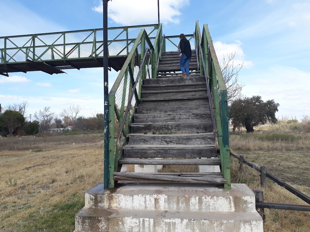 Museo Los Pioneros (Los Pioneros Museum)