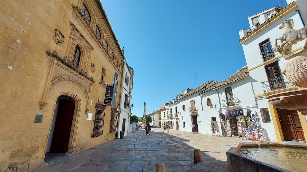 Plaza del Potro (Plaza del Potro)