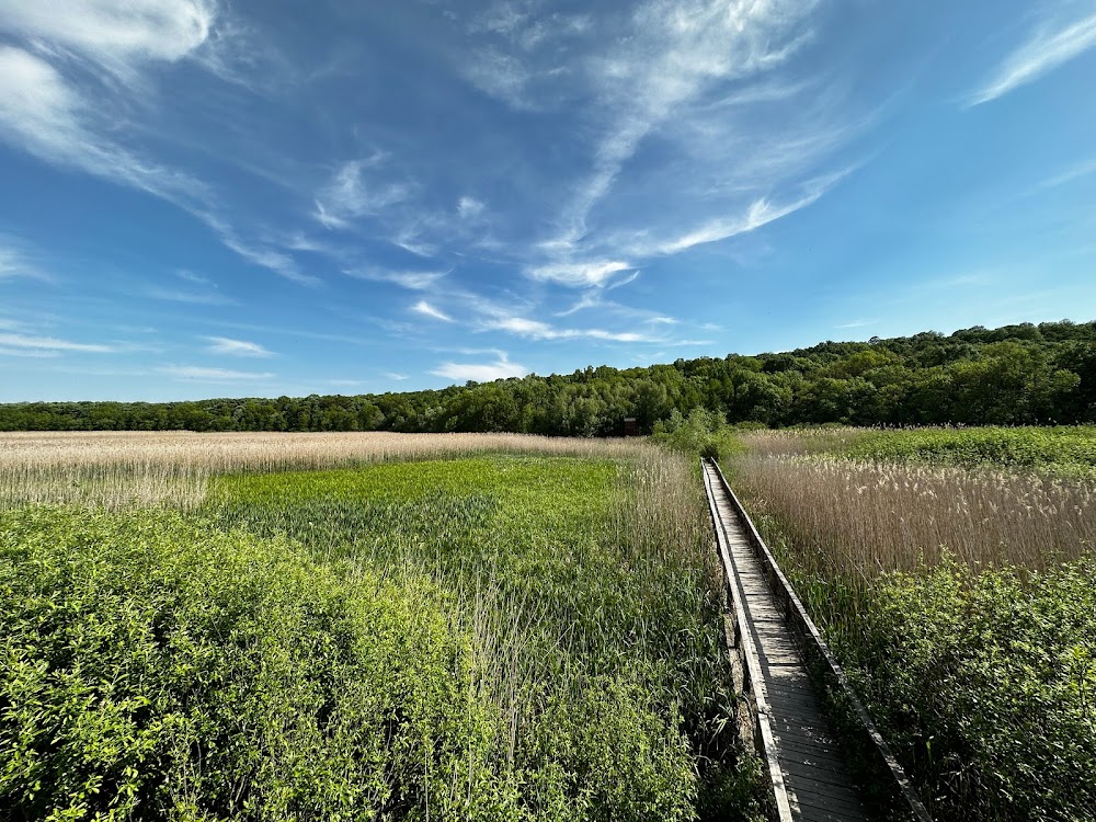 Parcul Natural Comana (Comana Natural Park)