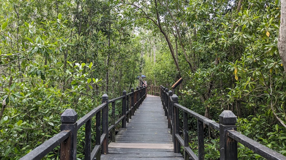 Taman Negara Tanjung Piai (Tanjung Piai National Park)