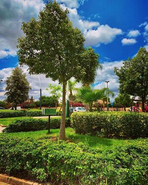 الحديقة العمومية سيدي بنور (Sidi Bennour Public Garden)