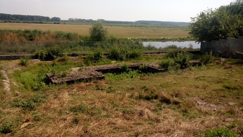 Muzeul de Arheologie și Istorie Corabia (Corabia Museum of Archaeology and History)