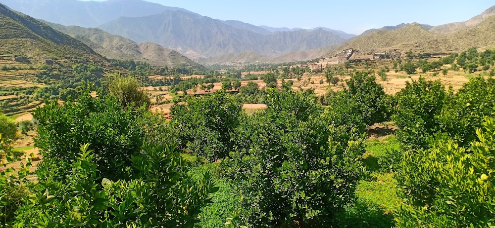 شیگل ولسوالی (Shigal District)