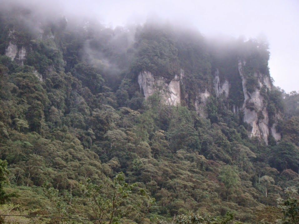 Tour de Café Matagalpa (Matagalpa Coffee Tour)