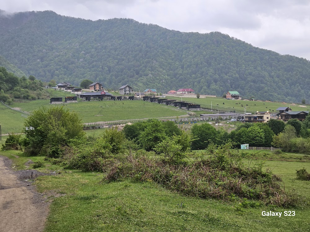 Yardımlı Dövlət Təbiət Qoruğu (Yardymli State Reserve)