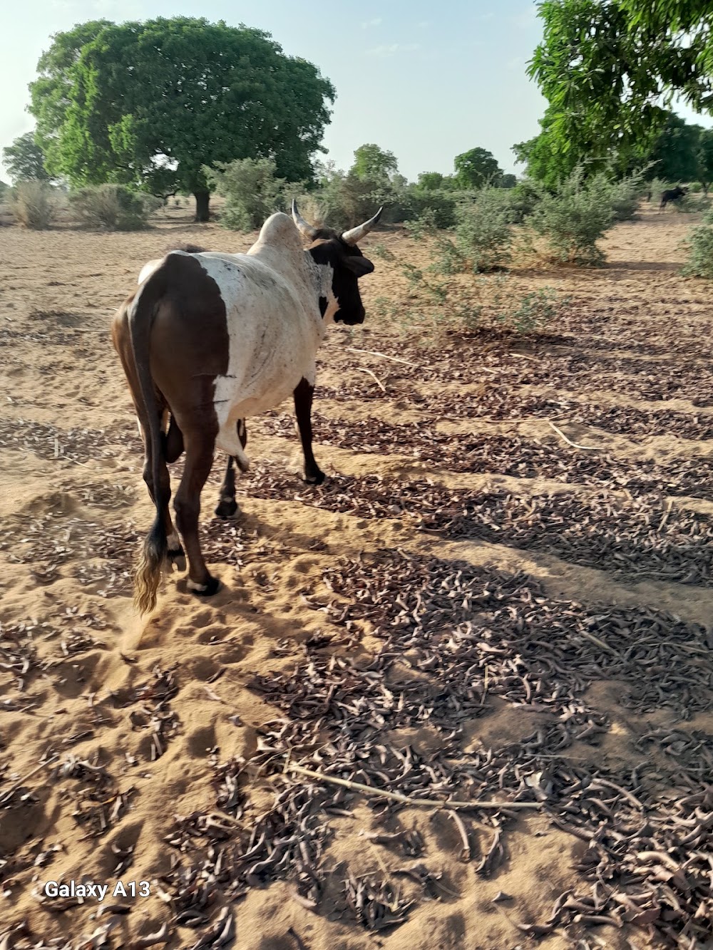 Route Bamako-Ségou (Bamako-Ségou Road)