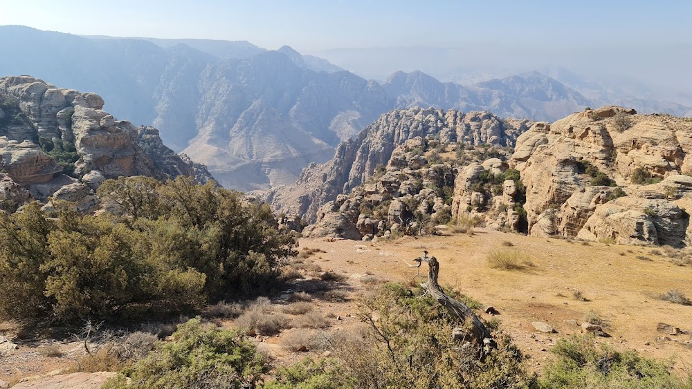 محمية ضانا (Dana Biosphere Reserve)