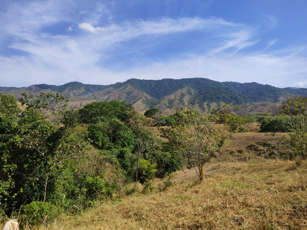 Reserva Forestal La Tronosa (Reserva Forestal La Tronosa)