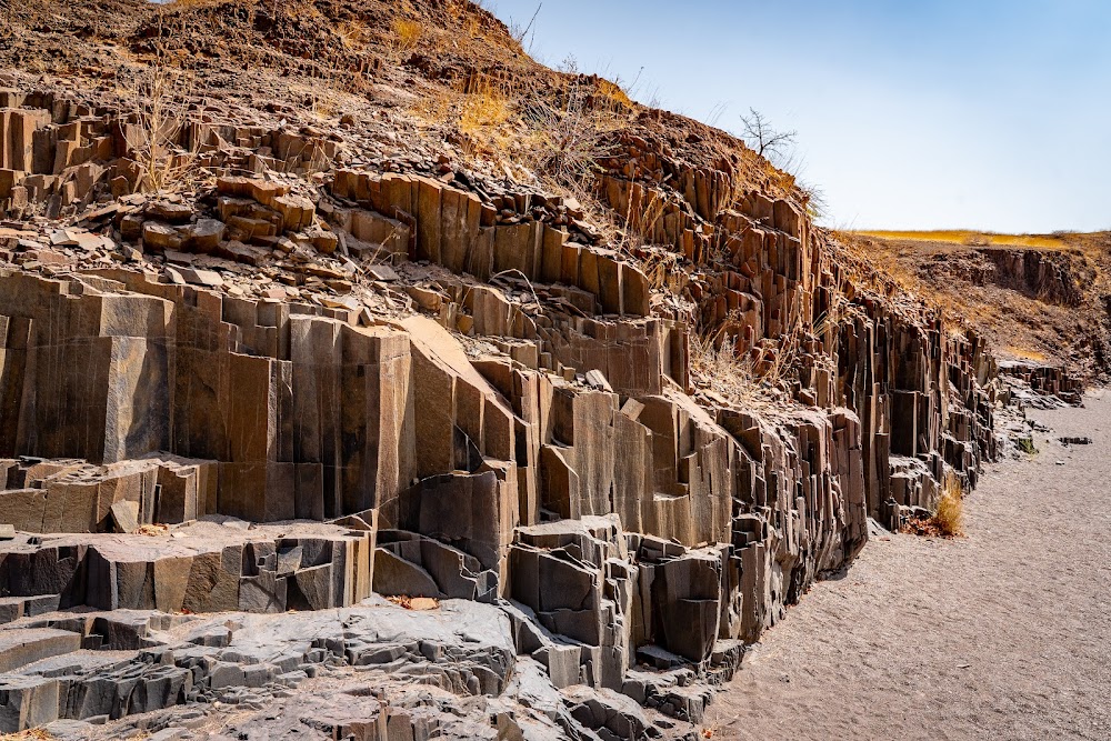 Organ Pipes