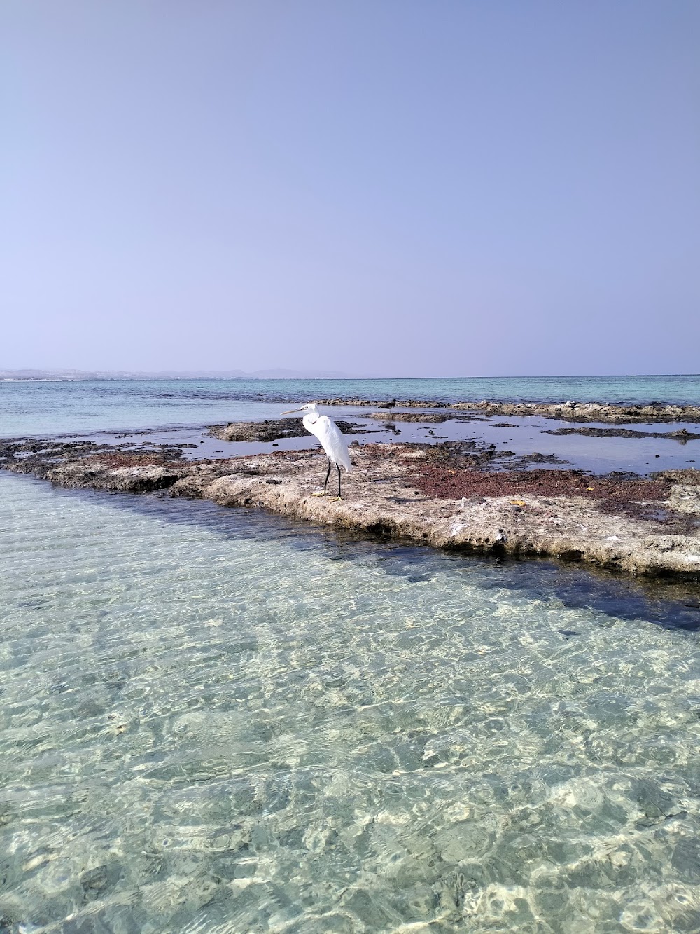 Qala Mangrove Reserve (Qala Mangrove Reserve)