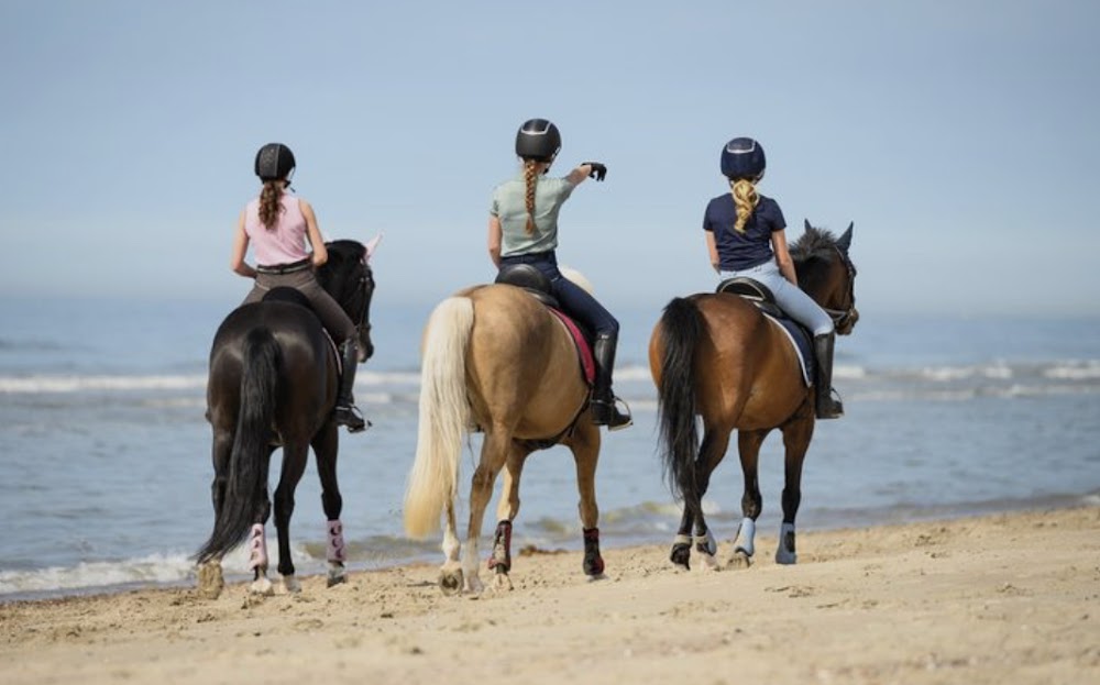 نادي الضعاين للفروسية (Al Daayen Equestrian Club)