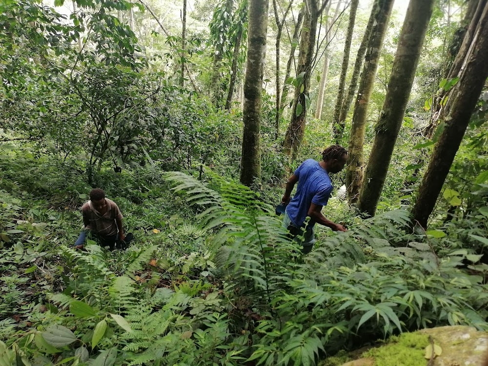 Benaria Wildlife Sanctuary (Benaria Wildlife Sanctuary)