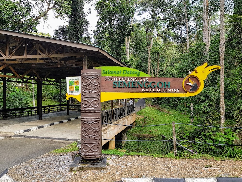 Pusat Hidupan Liar Semenggoh (Semenggoh Wildlife Centre)