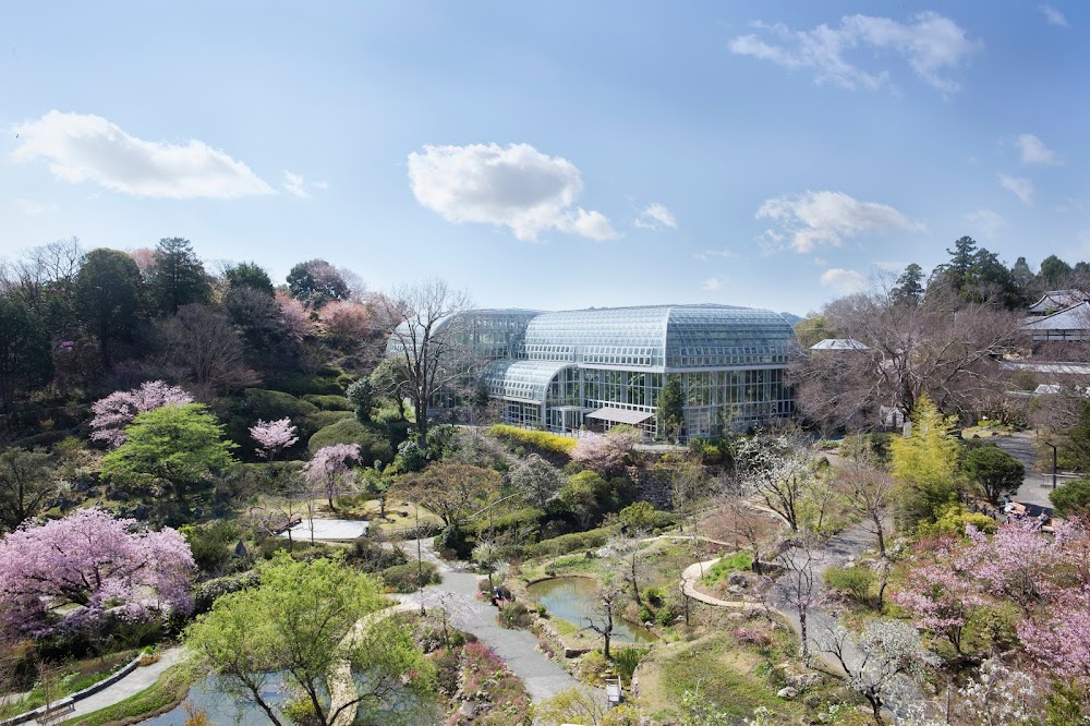 牧野植物園 (Makino Botanical Garden)