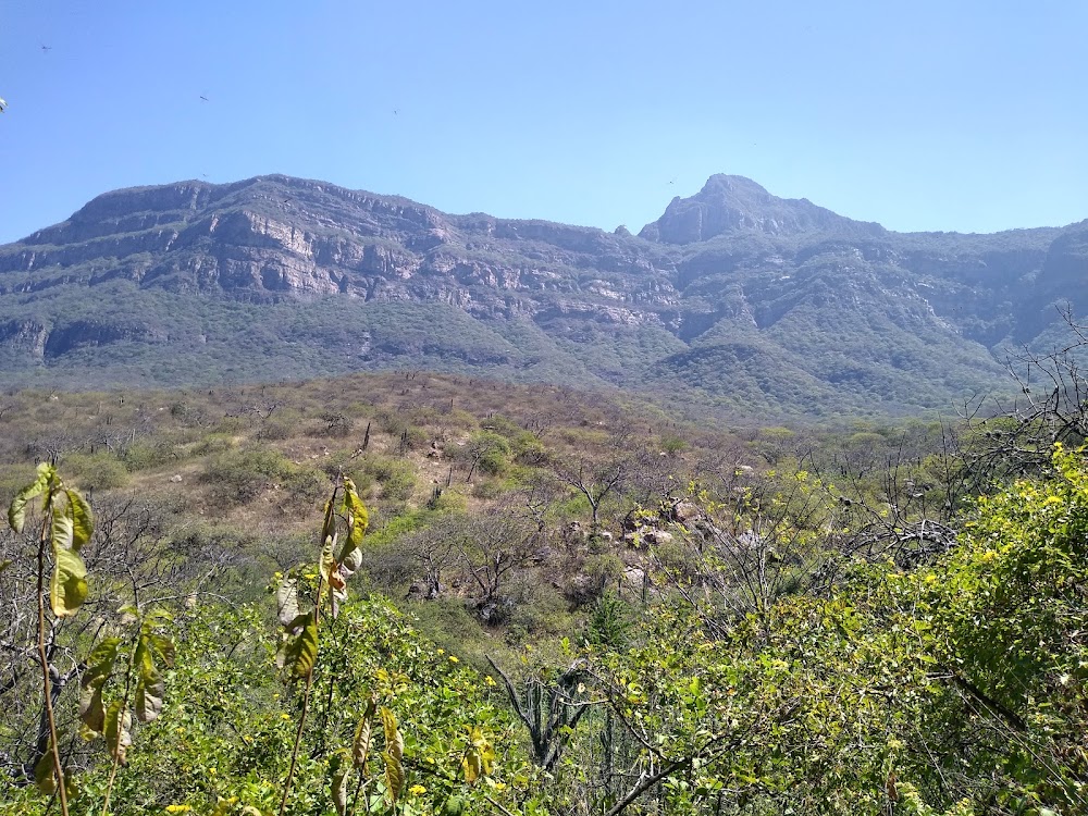 Reserva Ecológica de Chaparrí (Chaparrí Ecological Reserve)