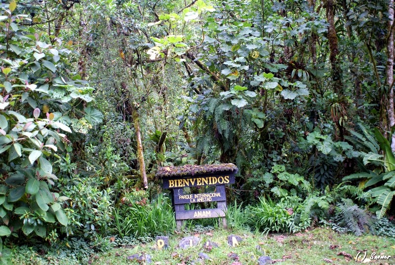 Parque Internacional La Amistad (Parque Internacional La Amistad)