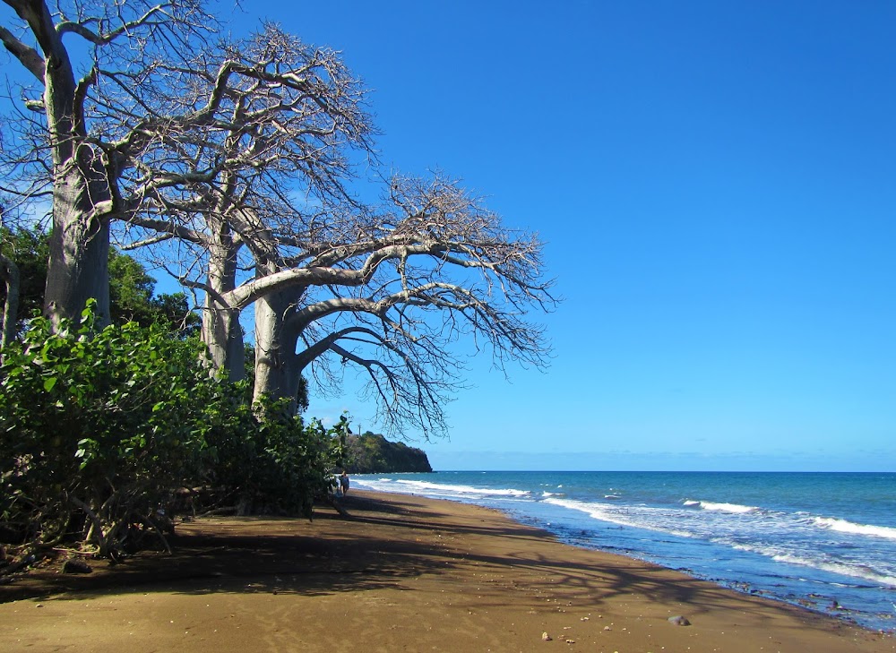 Plage de Sakouli (Plage de Sakouli)