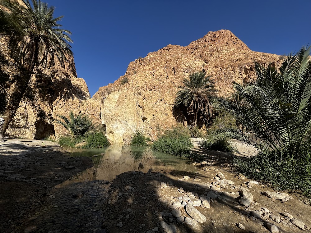 واحة تكركيبة (Tkerkiba Oasis)