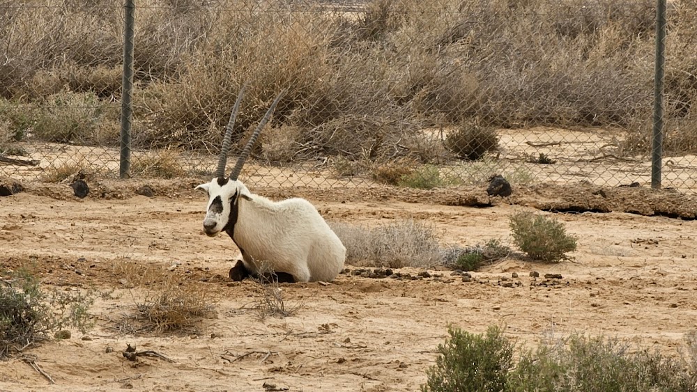 Shaumari Wildlife Reserve