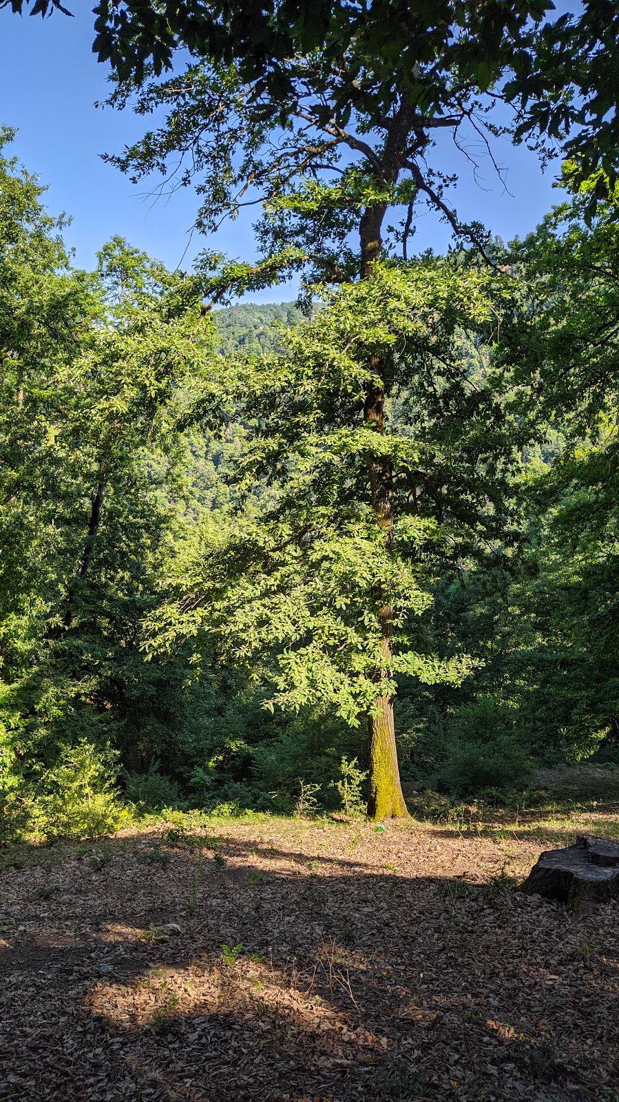 Köhnə Yardımlı Kəndi (Old Yardymli Village)